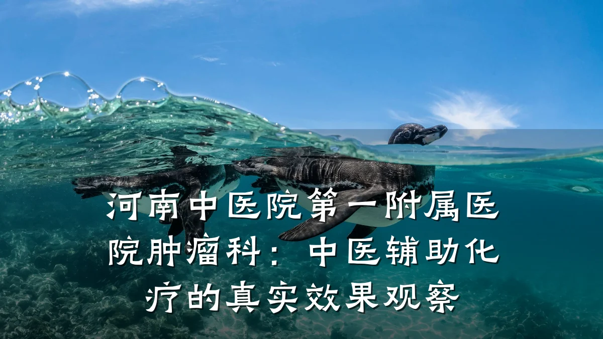 河南中医院第一附属医院肿瘤科：中医辅助化疗的真实效果观察