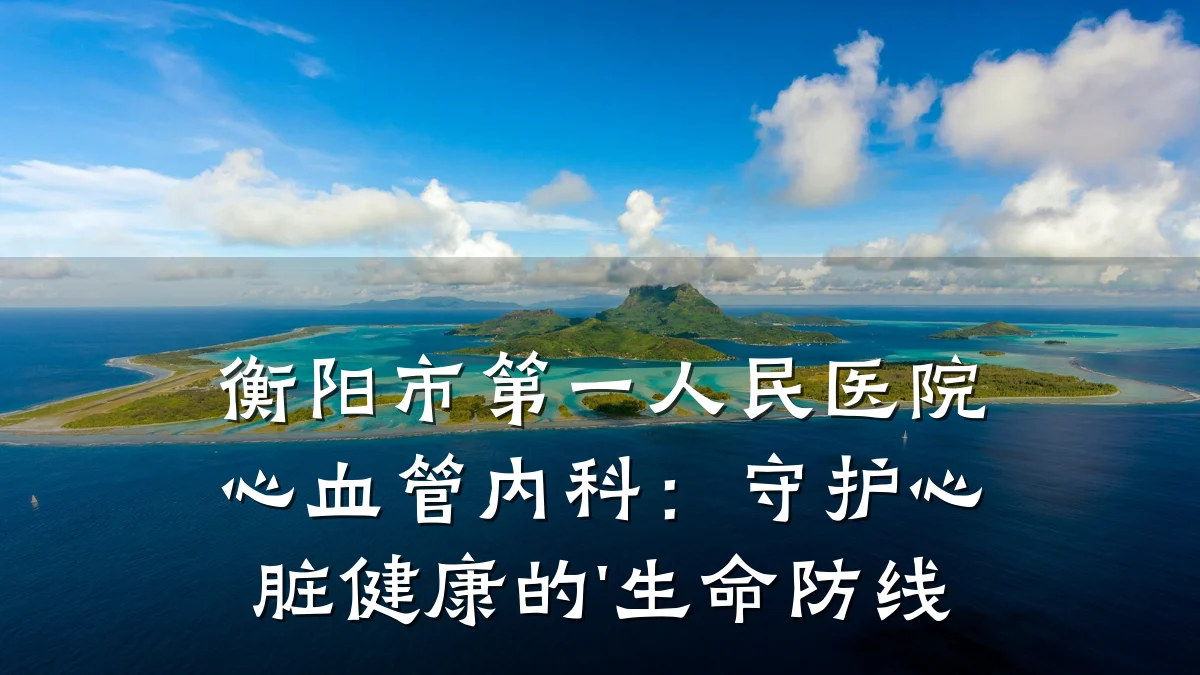 衡阳市第一人民医院心血管内科：守护心脏健康的'生命防线