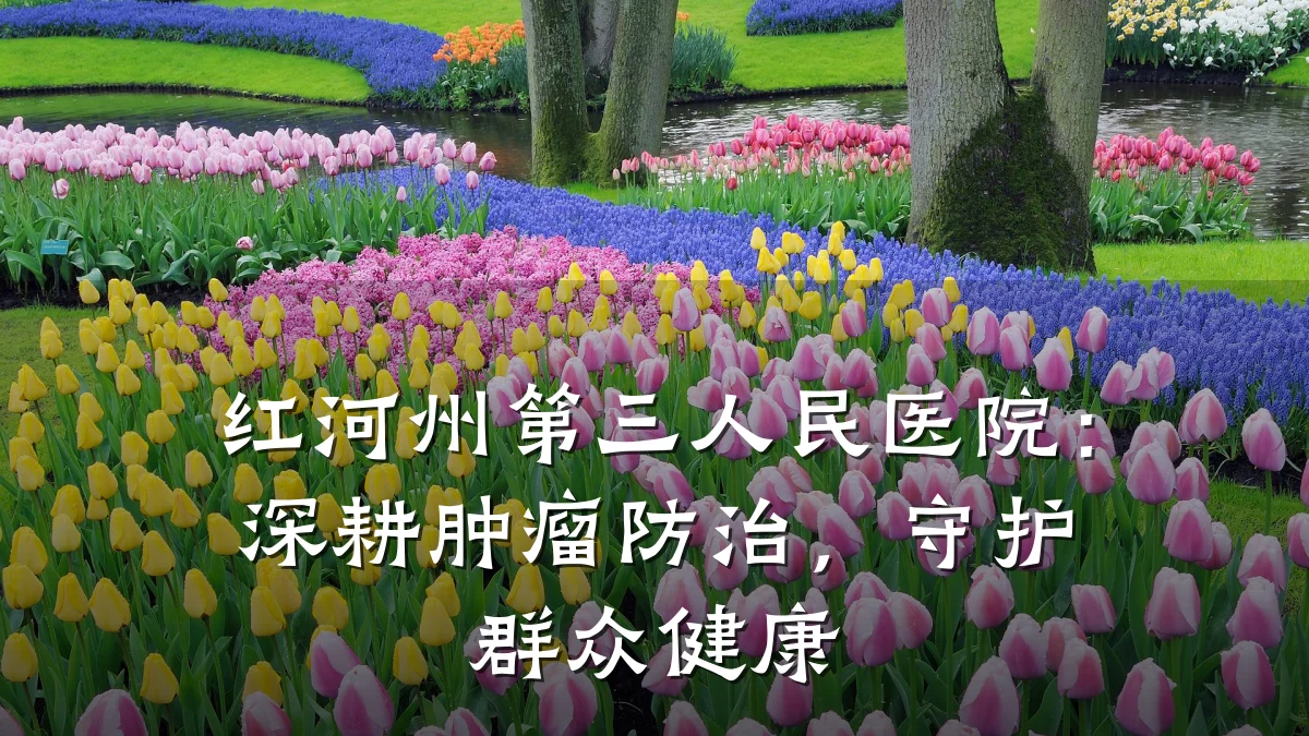 红河州第三人民医院:深耕肿瘤防治,守护群众健康