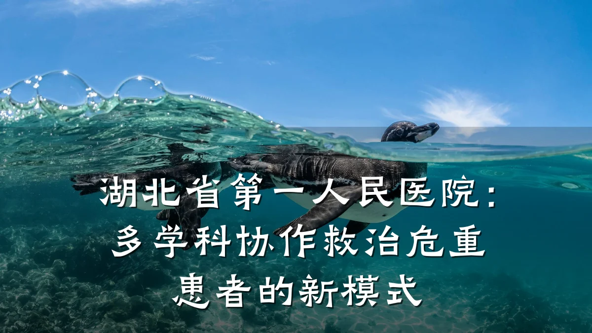 湖北省第一人民医院:多学科协作救治危重患者的新模式