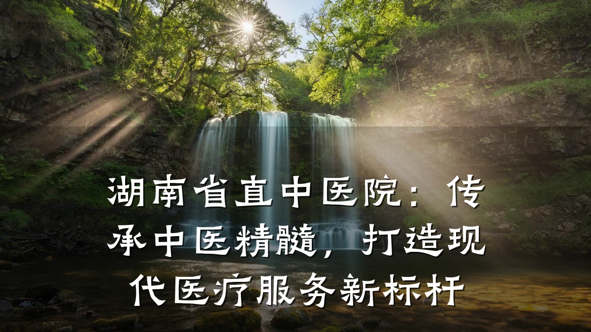 湖南省直中医院：传承中医精髓，打造现代医疗服务新标杆