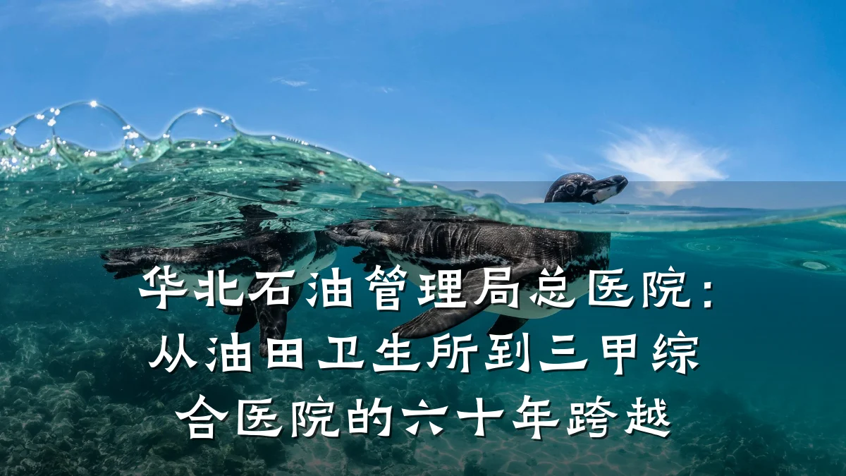 华北石油管理局总医院：从油田卫生所到三甲综合医院的六十年跨越