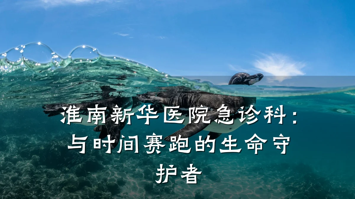淮南新华医院急诊科:与时间赛跑的生命守护者