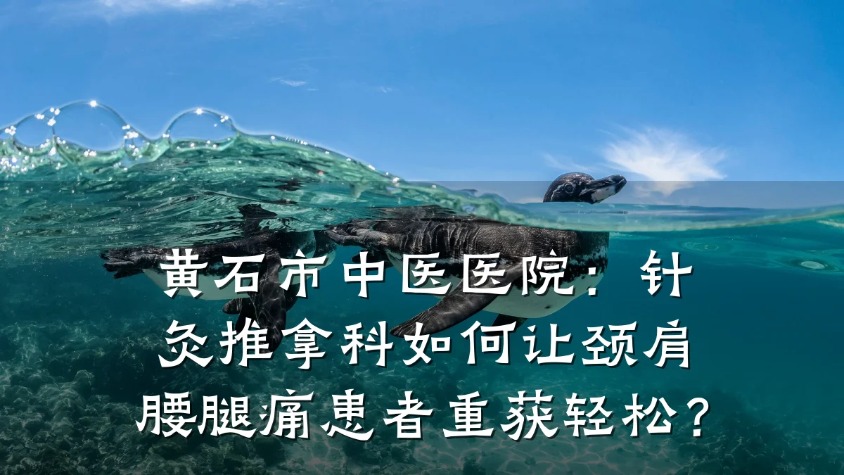 黄石市中医医院:针灸推拿科如何让颈肩腰腿痛患者重获轻松?