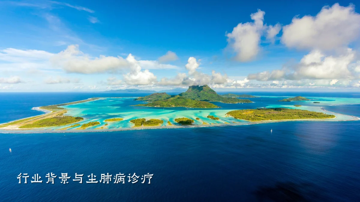 行业背景与尘肺病诊疗