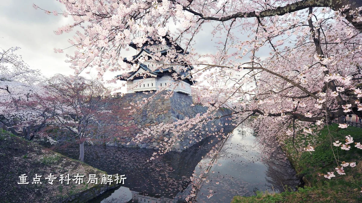 重点专科布局解析