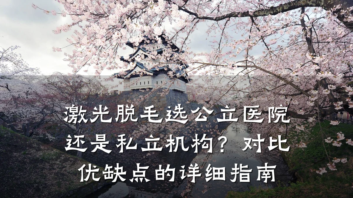 激光脱毛选公立医院还是私立机构？对比优缺点的详细指南