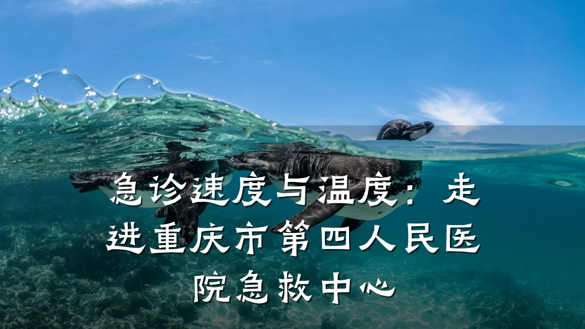 急诊速度与温度:走进重庆市第四人民医院急救中心