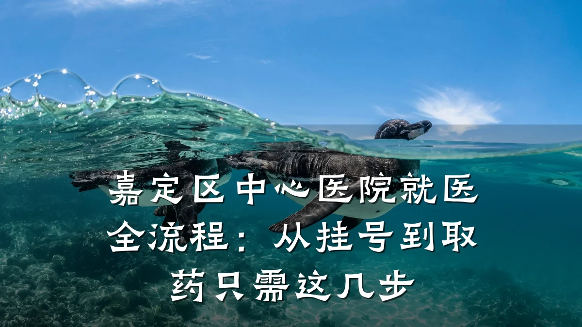 嘉定区中心医院就医全流程：从挂号到取药只需这几步