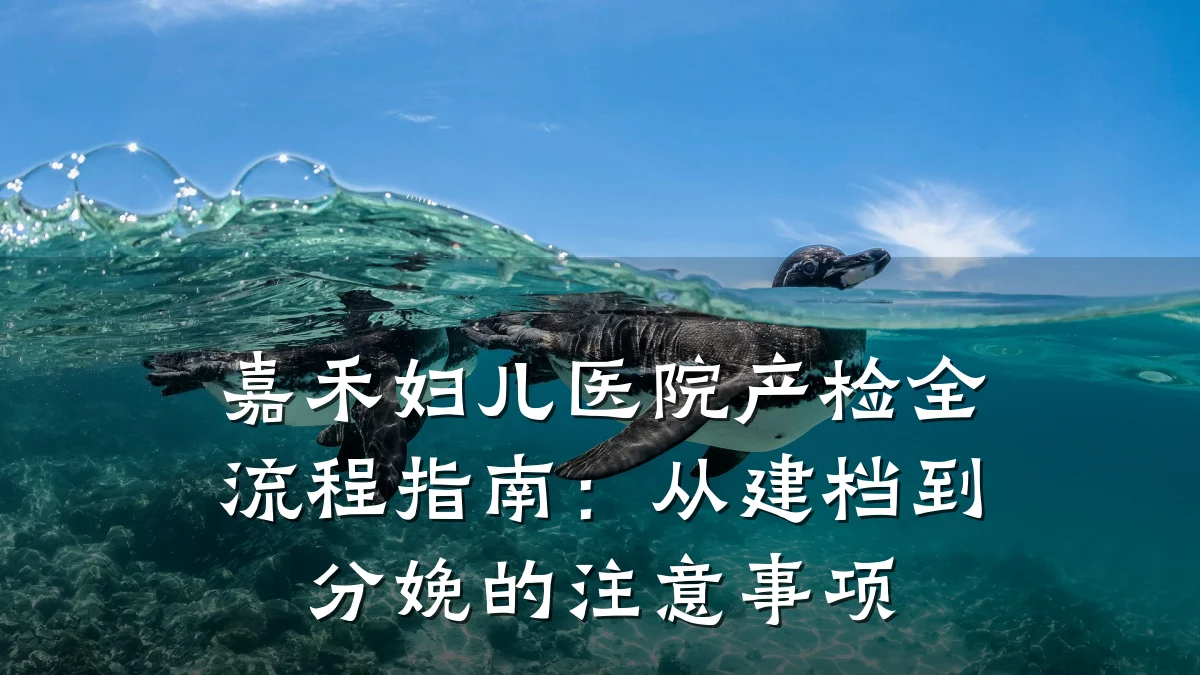 嘉禾妇儿医院产检全流程指南:从建档到分娩的注意事项