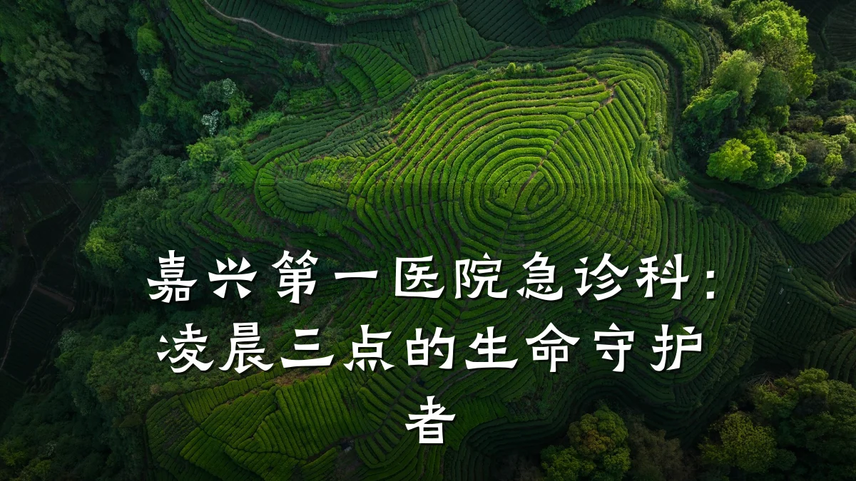 嘉兴第一医院急诊科:凌晨三点的生命守护者