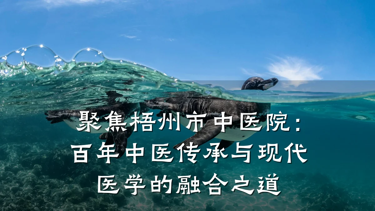 聚焦梧州市中医院:百年中医传承与现代医学的融合之道
