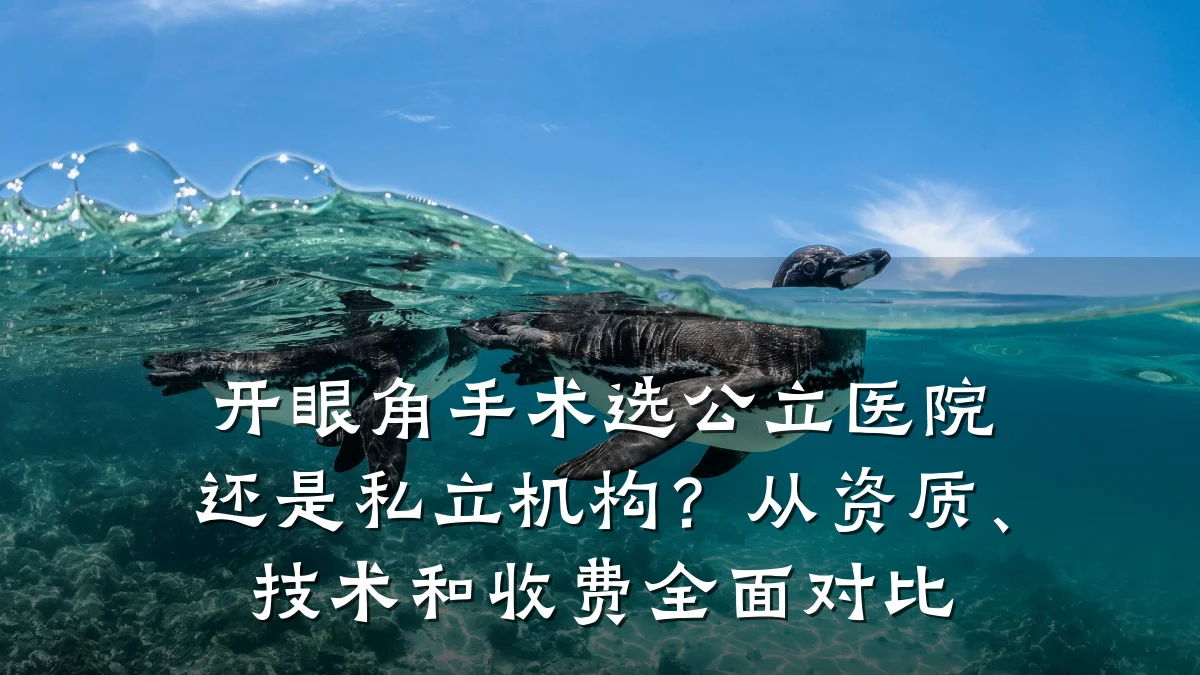开眼角手术选公立医院还是私立机构?从资质、技术和收费全面对比