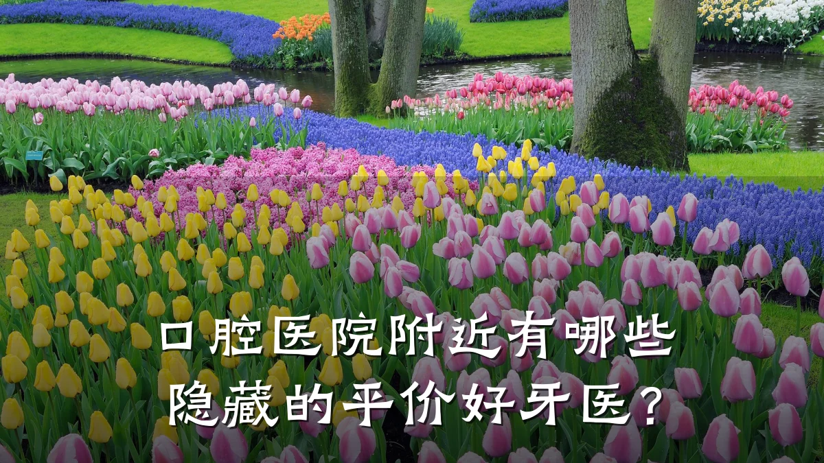 口腔医院附近有哪些隐藏的平价好牙医？