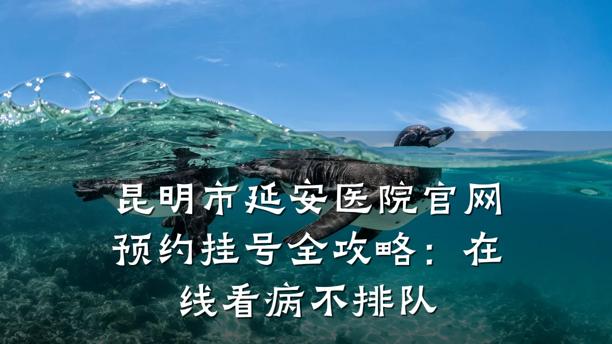 昆明市延安医院官网预约挂号全攻略:在线看病不排队