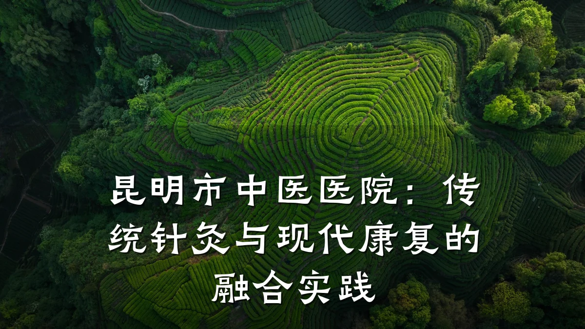 昆明市中医医院：传统针灸与现代康复的融合实践