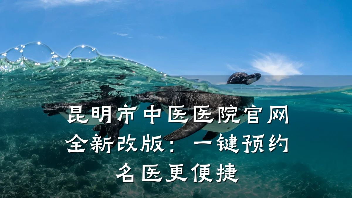 昆明市中医医院官网全新改版:一键预约名医更便捷