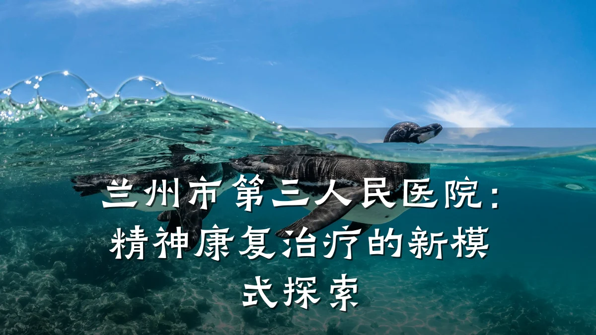 兰州市第三人民医院：精神康复治疗的新模式探索