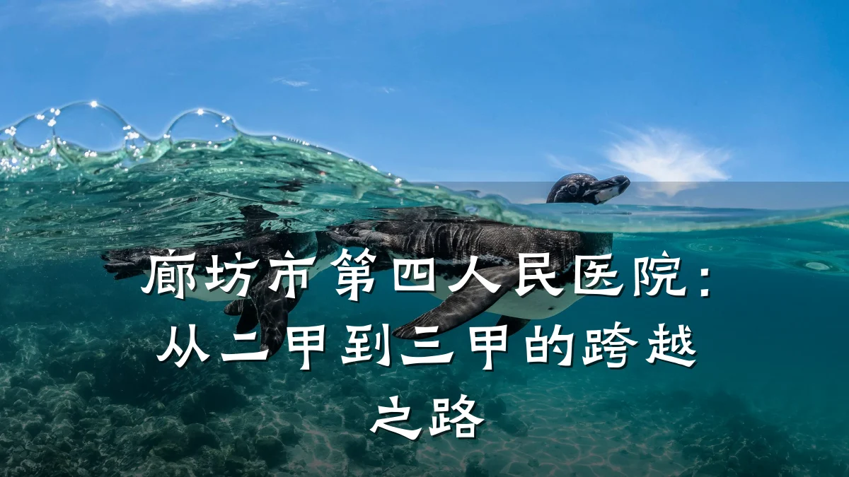 廊坊市第四人民医院：从二甲到三甲的跨越之路