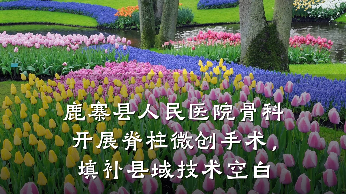 鹿寨县人民医院骨科开展脊柱微创手术,填补县域技术空白