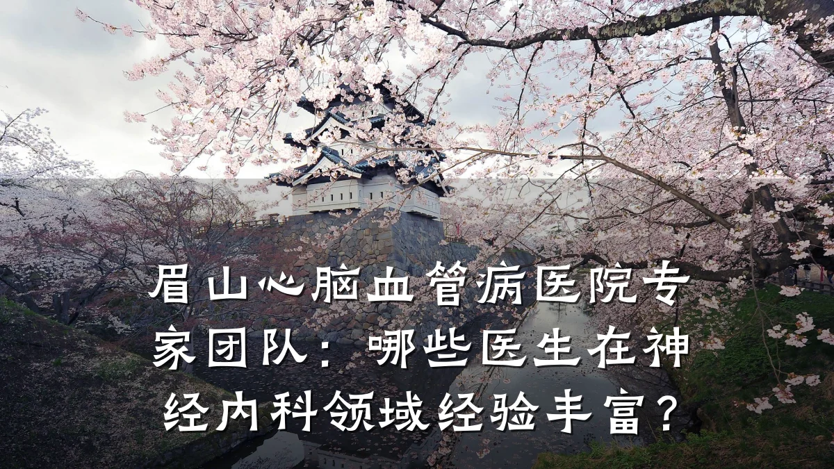 眉山心脑血管病医院专家团队：哪些医生在神经内科领域经验丰富？