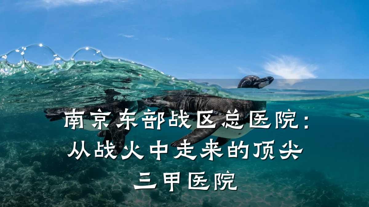 南京东部战区总医院:从战火中走来的顶尖三甲医院