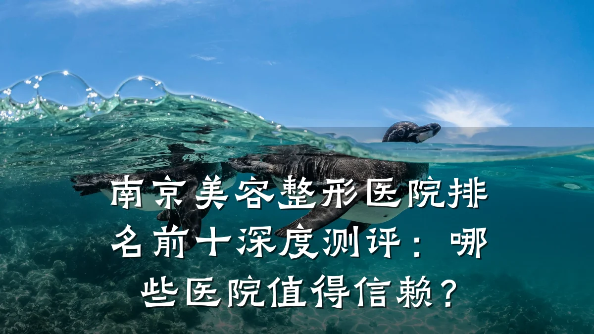 南京美容整形医院排名前十深度测评：哪些医院值得信赖？