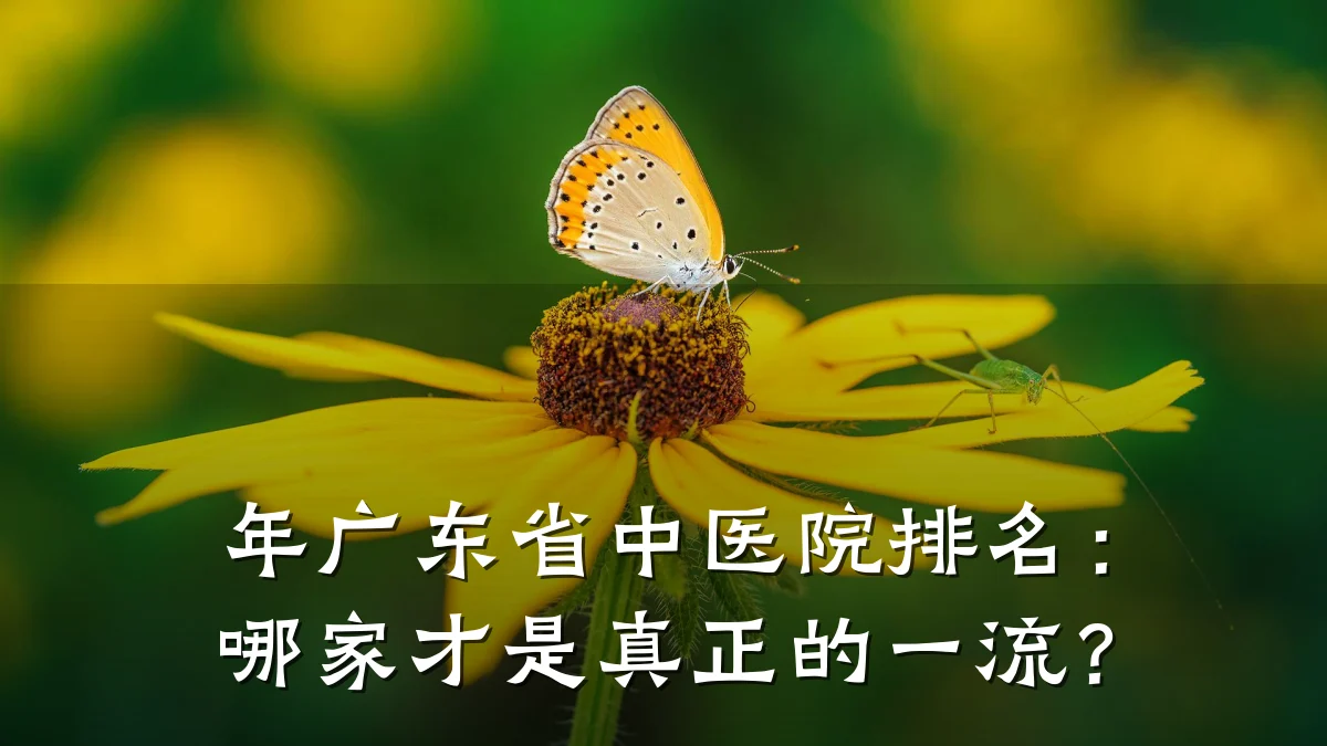 年广东省中医院排名：哪家才是真正的一流？