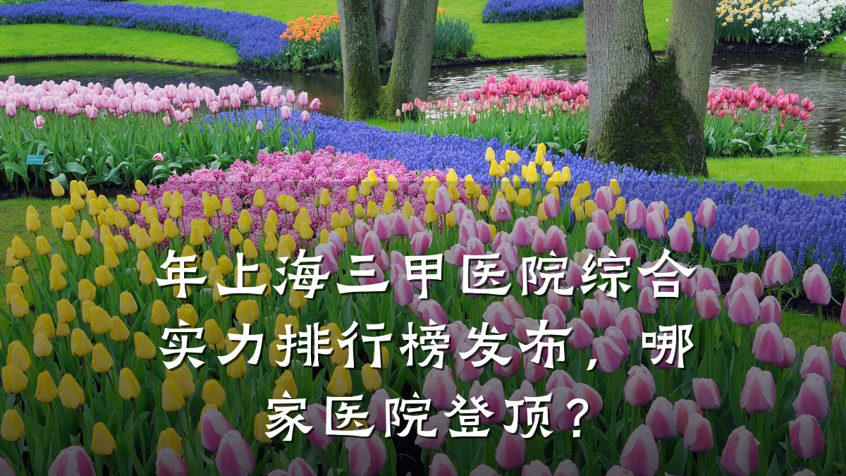 年上海三甲医院综合实力排行榜发布,哪家医院登顶?