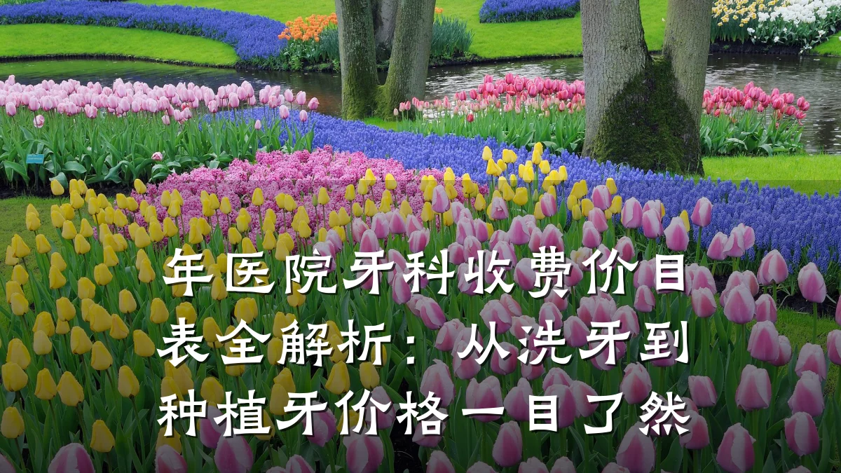 年医院牙科收费价目表全解析:从洗牙到种植牙价格一目了然