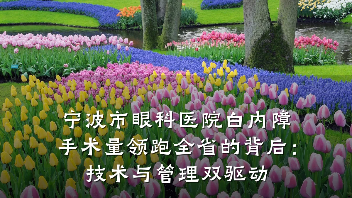 宁波市眼科医院白内障手术量领跑全省的背后:技术与管理双驱动