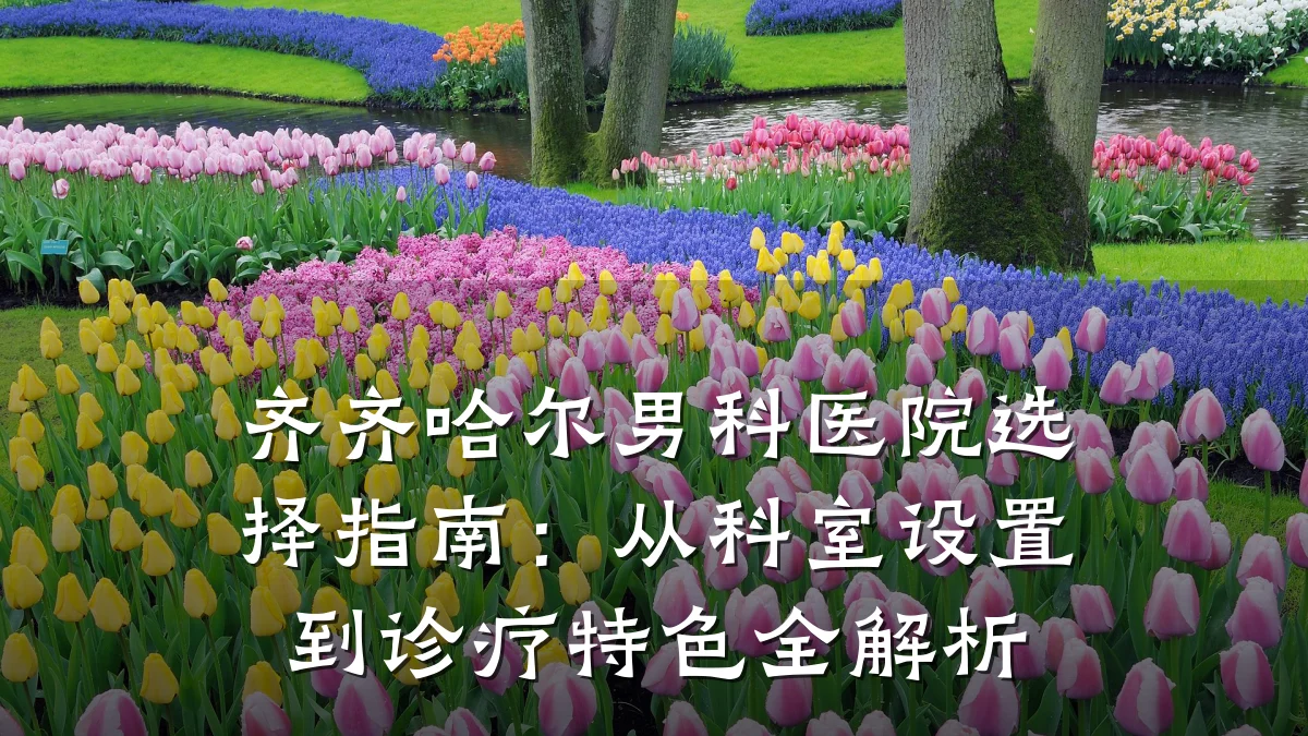 齐齐哈尔男科医院选择指南：从科室设置到诊疗特色全解析