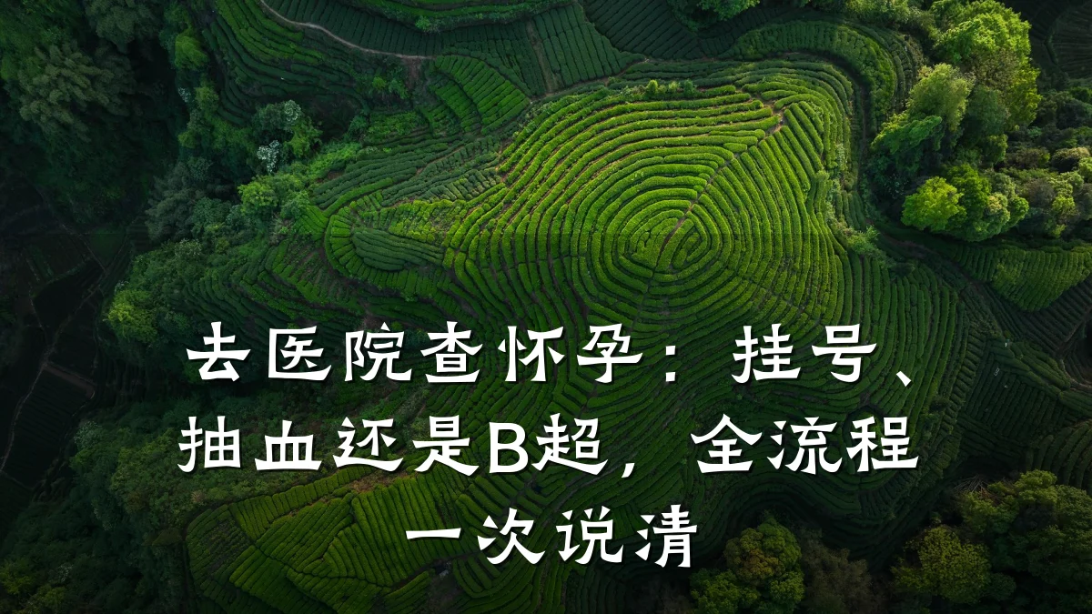 去医院查怀孕：挂号、抽血还是B超，全流程一次说清