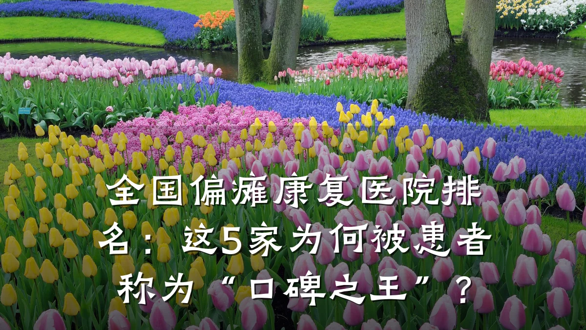 全国偏瘫康复医院排名:这5家为何被患者称为“口碑之王”?