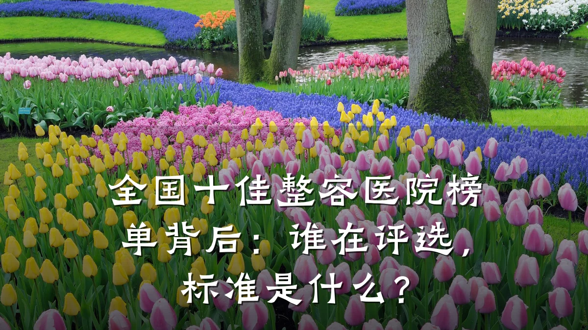 全国十佳整容医院榜单背后:谁在评选,标准是什么?