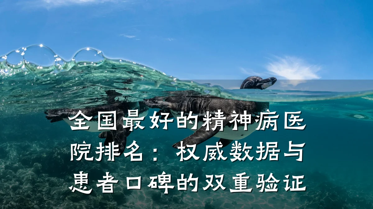全国最好的精神病医院排名：权威数据与患者口碑的双重验证