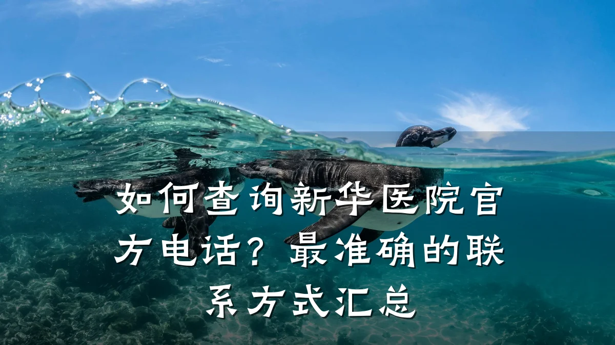 如何查询新华医院官方电话?最准确的联系方式汇总