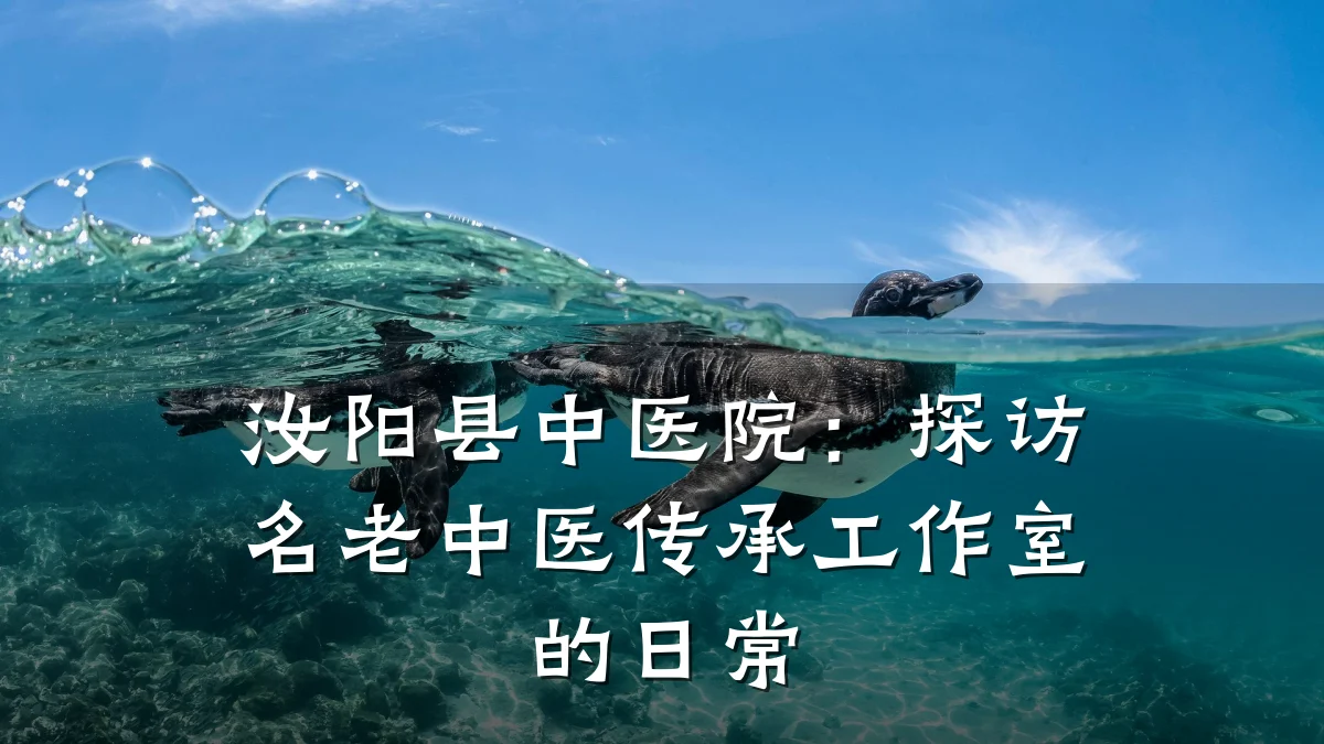 汝阳县中医院：探访名老中医传承工作室的日常
