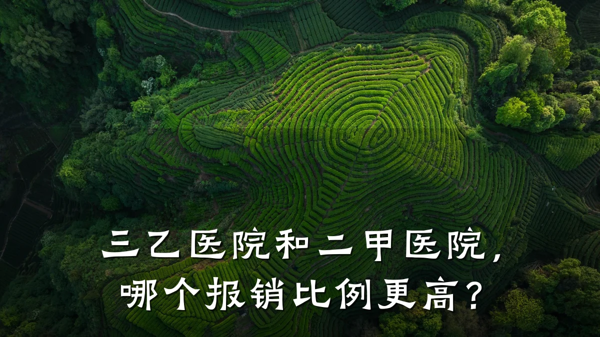 三乙医院和二甲医院,哪个报销比例更高?