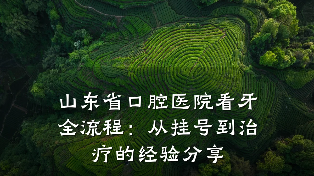山东省口腔医院看牙全流程:从挂号到治疗的经验分享