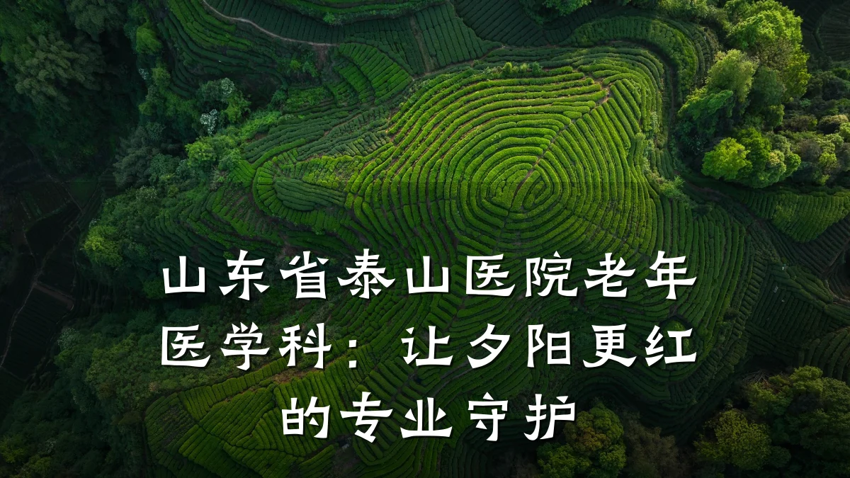 山东省泰山医院老年医学科：让夕阳更红的专业守护