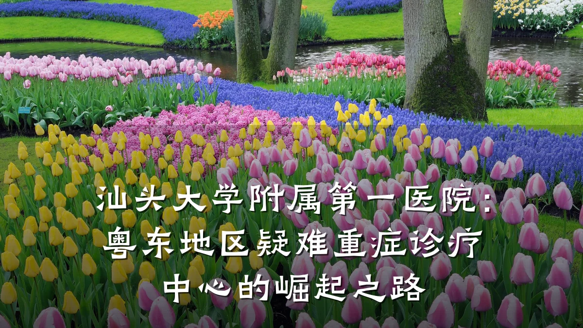 汕头大学附属第一医院:粤东地区疑难重症诊疗中心的崛起之路