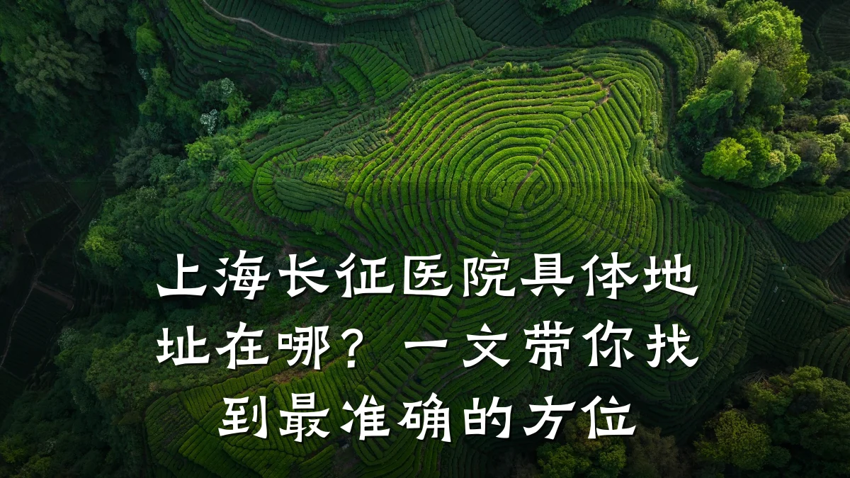 上海长征医院具体地址在哪?一文带你找到最准确的方位