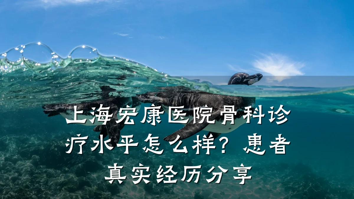 上海宏康医院骨科诊疗水平怎么样？患者真实经历分享