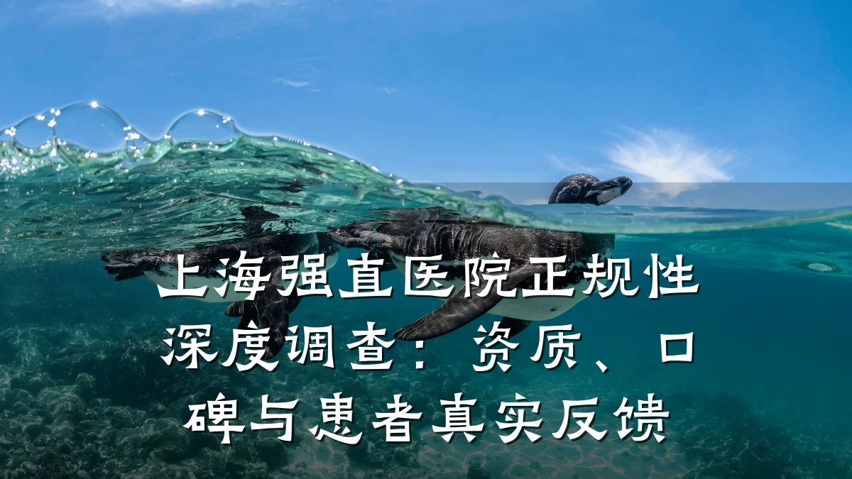 上海强直医院正规性深度调查:资质、口碑与患者真实反馈