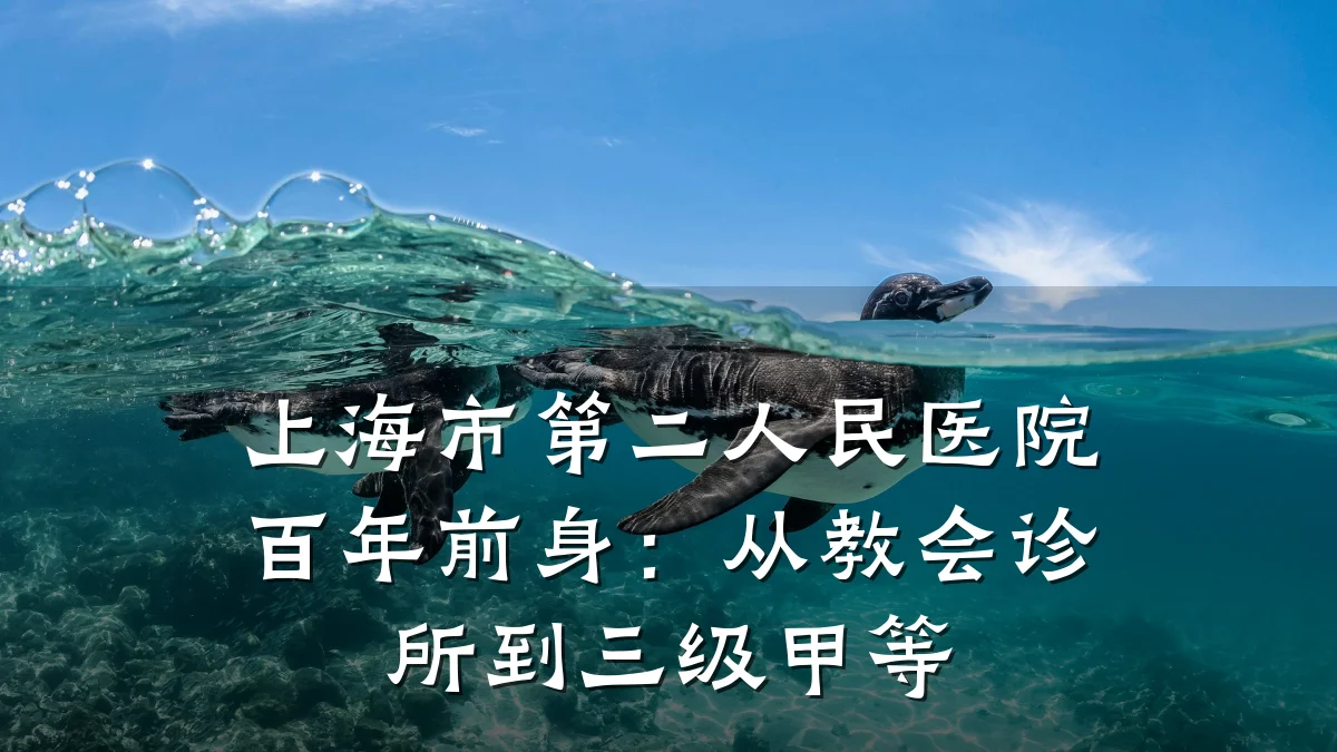 上海市第二人民医院百年前身:从教会诊所到三级甲等