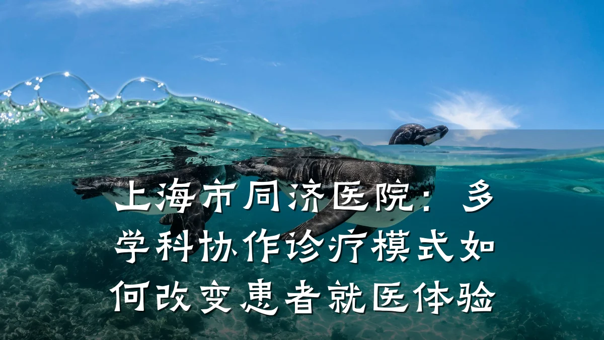 上海市同济医院：多学科协作诊疗模式如何改变患者就医体验