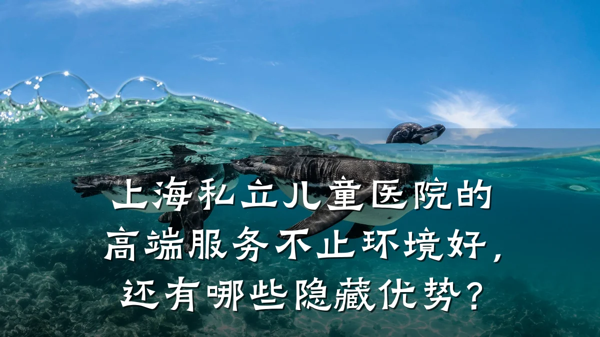 上海私立儿童医院的高端服务不止环境好，还有哪些隐藏优势？