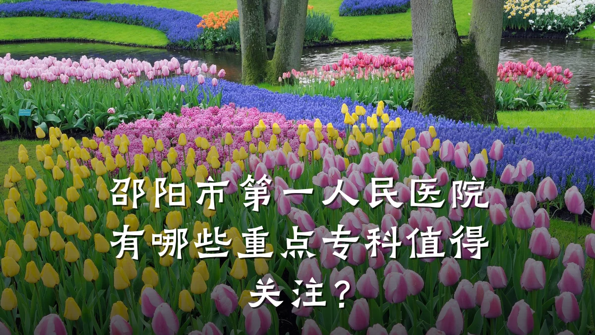 邵阳市第一人民医院有哪些重点专科值得关注?