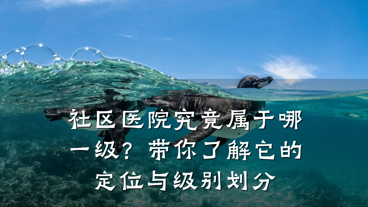 社区医院究竟属于哪一级?带你了解它的定位与级别划分